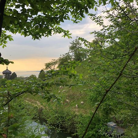 Haus Am Felsen, Ferien In Vorarlberger Architektur Lejlighed Bregenz Eksteriør billede