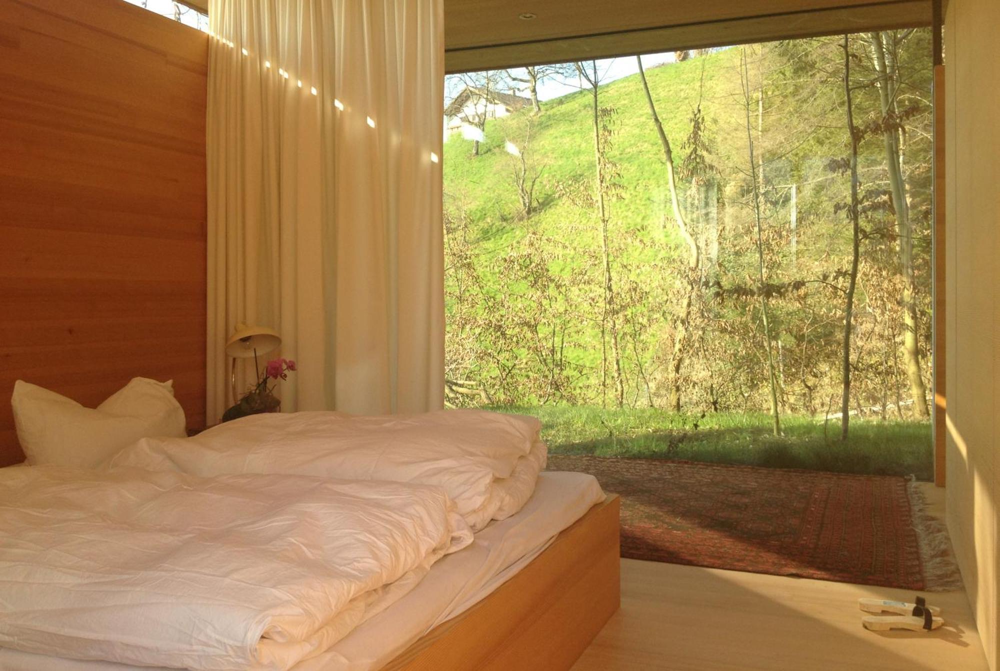 Haus Am Felsen, Ferien In Vorarlberger Architektur Lejlighed Bregenz Eksteriør billede