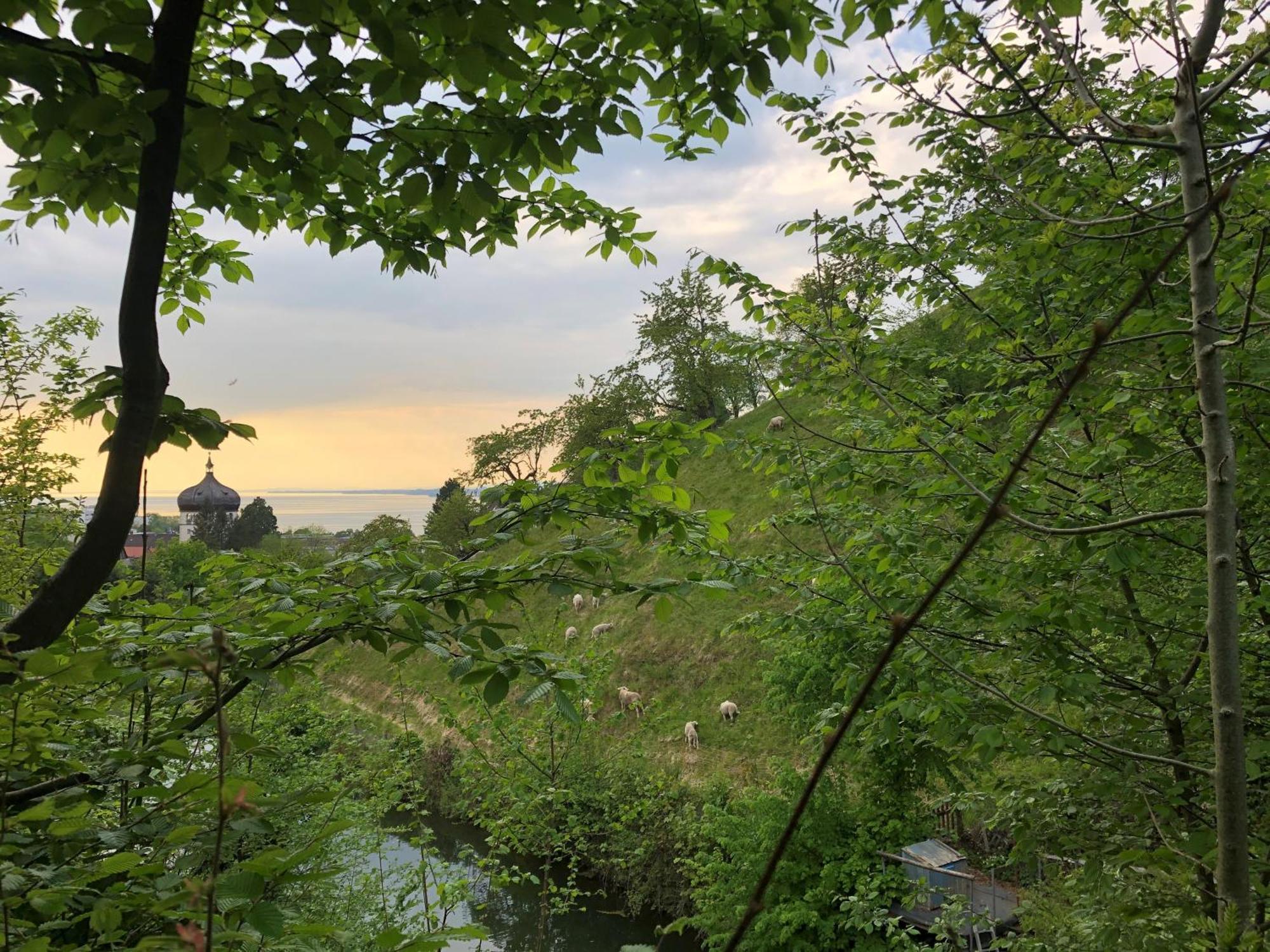 Haus Am Felsen, Ferien In Vorarlberger Architektur Lejlighed Bregenz Eksteriør billede